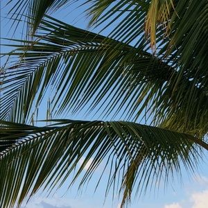 Meet your Posher, Izzy